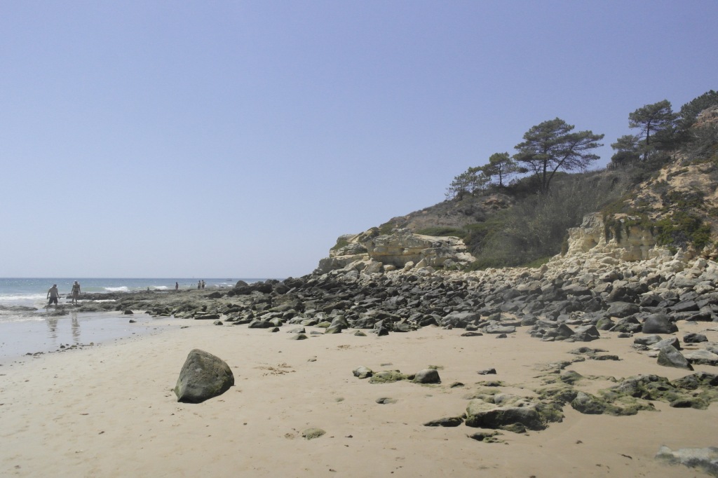 plage avec rochers, marée basse