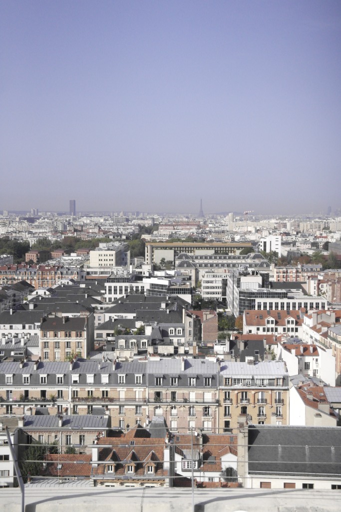 vue sur les toits de Paris, tour Eiffel et tour Montparnasse au fond