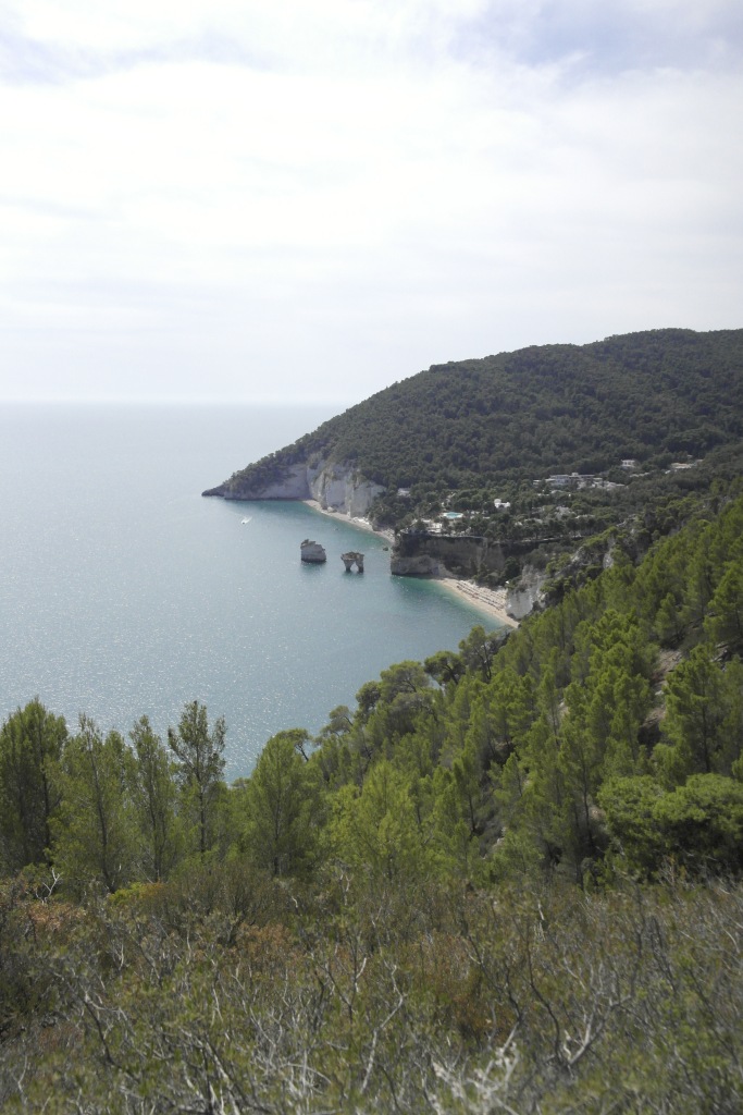 plage vue d'en haut, avec des rochers flottant dans la mer, végétation méditerranéenne