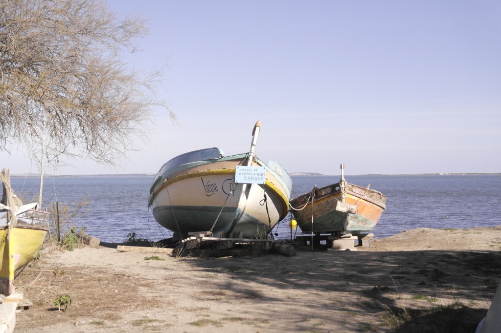 2 barques catalanes au bord de l'étang de Salses-Leucate